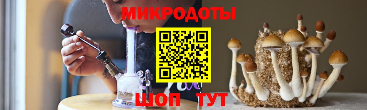 Псилоцибиновые грибы мицелий Комсомольск-на-Амуре